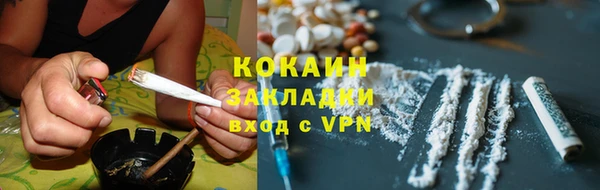 сатива Вяземский