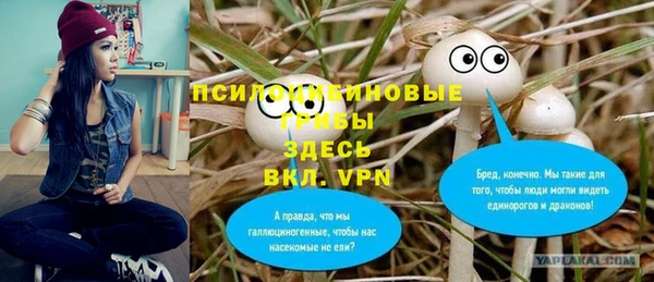 ALPHA PVP Бугульма