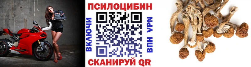 Галлюциногенные грибы Psilocybine cubensis  даркнет сайт  Дрезна 